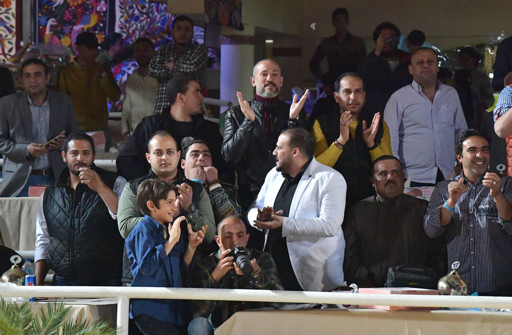 Lisa Abraham: The 2019 Egypt Specific Origin Arabian Horse Championship Photo Gallery