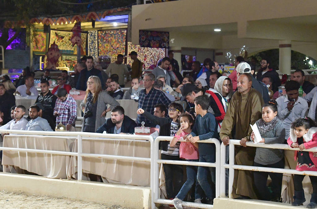 Lisa Abraham: The 2019 Egypt Specific Origin Arabian Horse Championship Photo Gallery