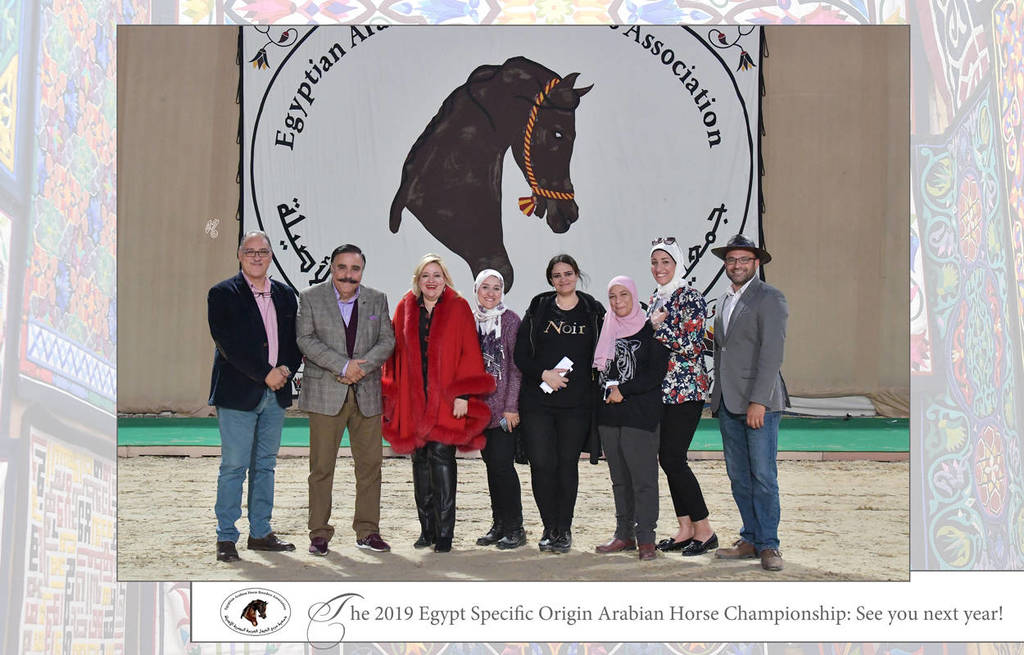 Lisa Abraham: The 2019 Egypt Specific Origin Arabian Horse Championship Photo Gallery