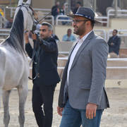 Lisa Abraham: The 2019 Egypt Specific Origin Arabian Horse Championship Photo Gallery