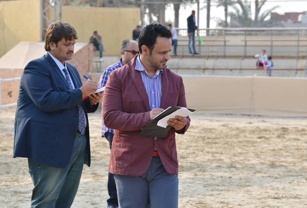 Lisa Abraham: The 2019 Egypt Specific Origin Arabian Horse Championship Photo Gallery