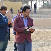 Lisa Abraham: The 2019 Egypt Specific Origin Arabian Horse Championship Photo Gallery