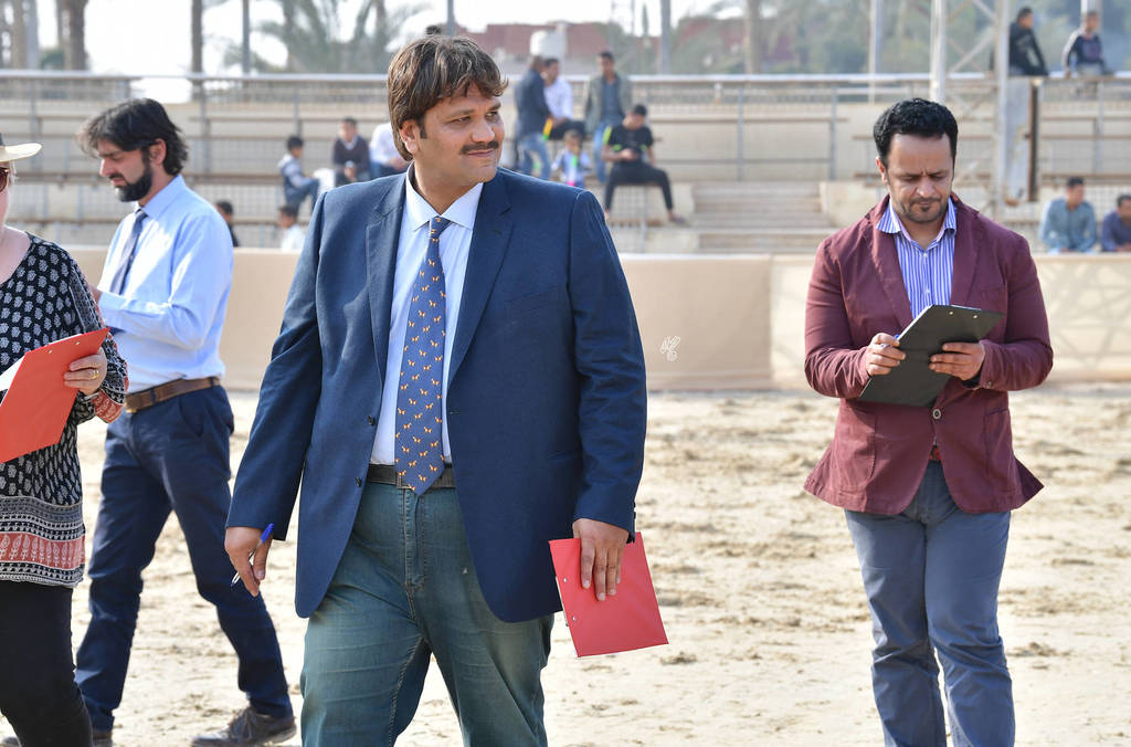 Lisa Abraham: The 2019 Egypt Specific Origin Arabian Horse Championship Photo Gallery