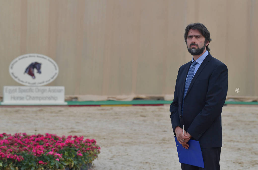 Lisa Abraham: The 2019 Egypt Specific Origin Arabian Horse Championship Photo Gallery