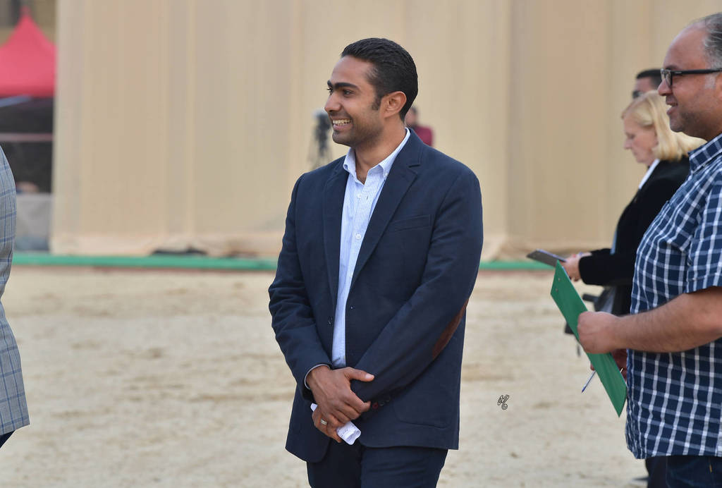 Lisa Abraham: The 2019 Egypt Specific Origin Arabian Horse Championship Photo Gallery