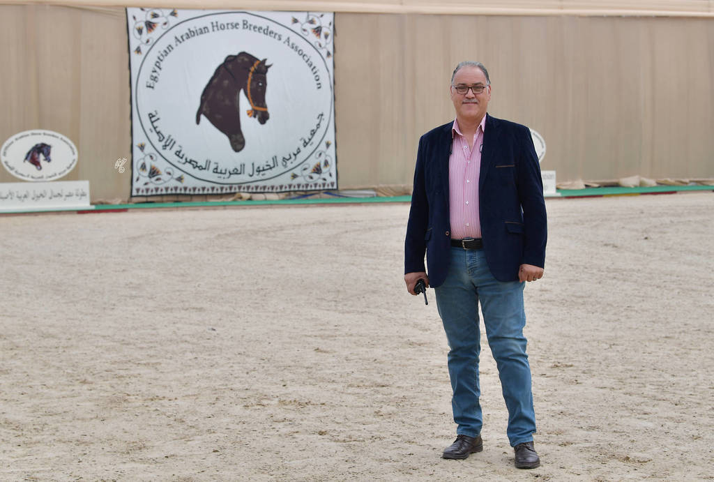 Lisa Abraham: The 2019 Egypt Specific Origin Arabian Horse Championship Photo Gallery