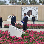 Lisa Abraham: The 2019 Egypt Specific Origin Arabian Horse Championship Photo Gallery