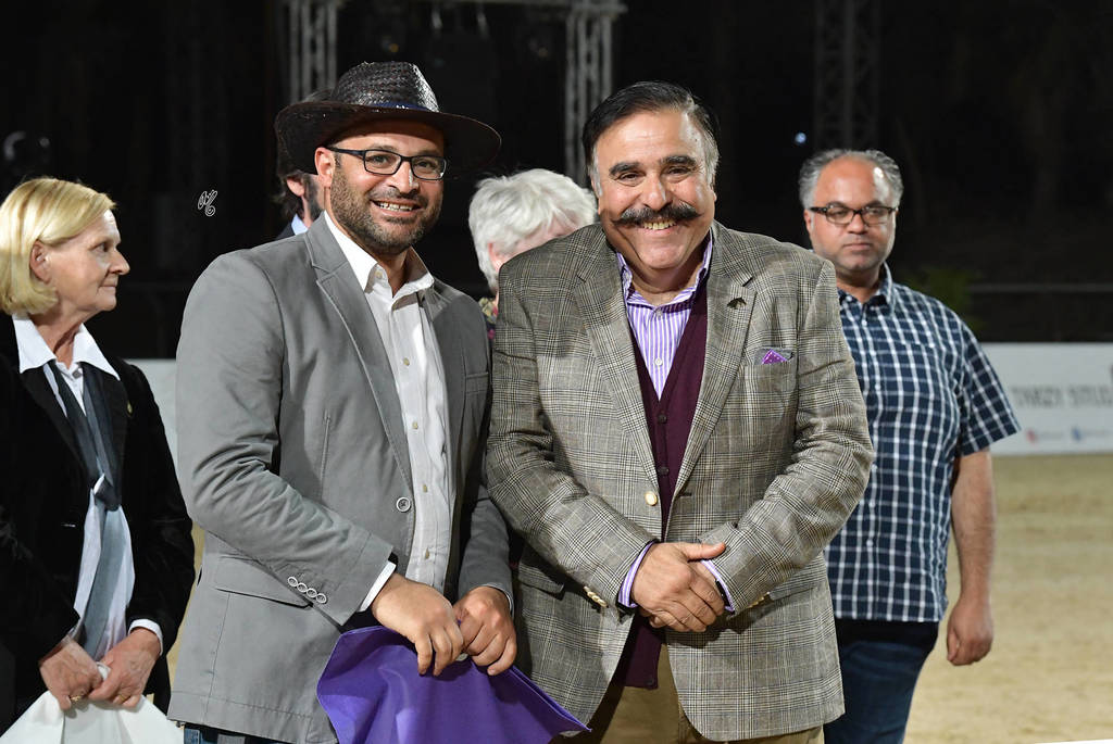 Lisa Abraham: The 2019 Egypt Specific Origin Arabian Horse Championship Photo Gallery