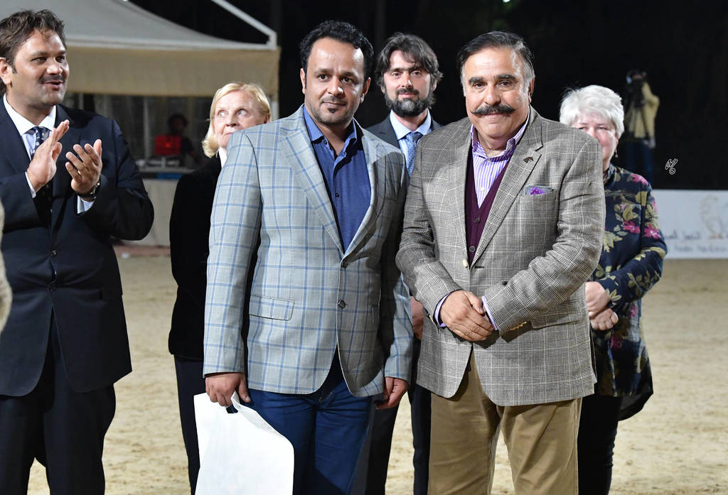 Lisa Abraham: The 2019 Egypt Specific Origin Arabian Horse Championship Photo Gallery