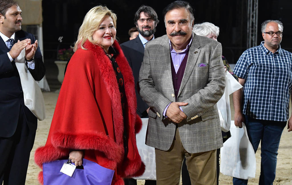 Lisa Abraham: The 2019 Egypt Specific Origin Arabian Horse Championship Photo Gallery