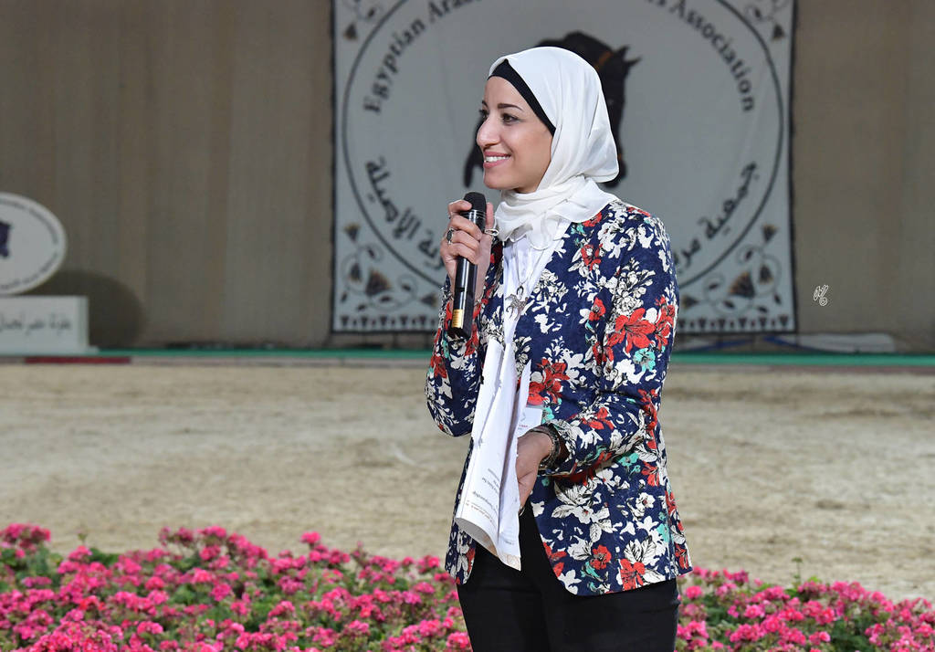 Lisa Abraham: The 2019 Egypt Specific Origin Arabian Horse Championship Photo Gallery
