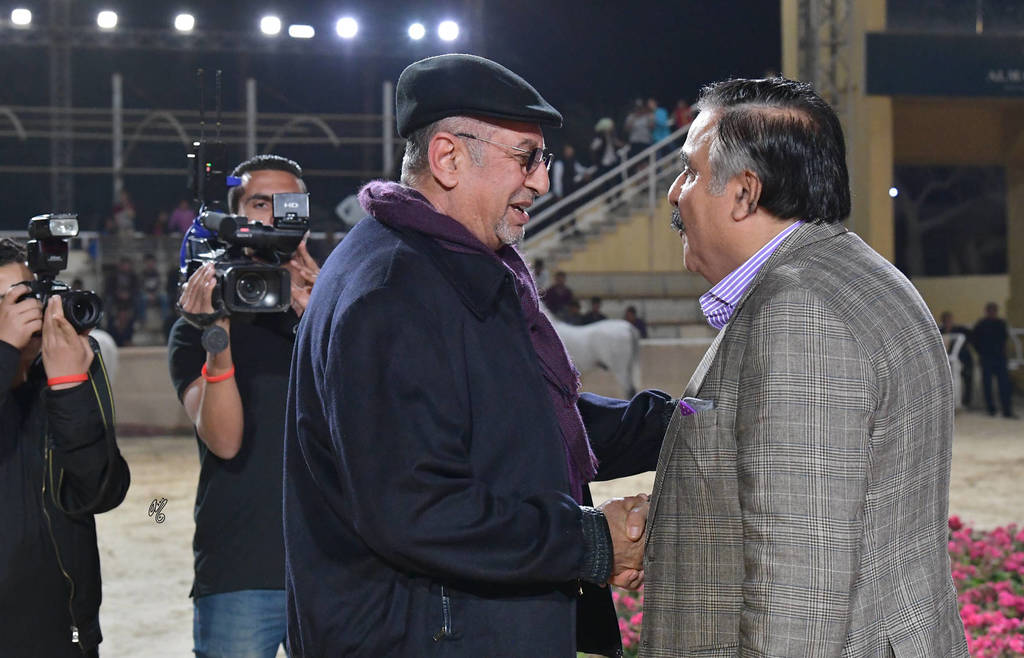 Lisa Abraham: The 2019 Egypt Specific Origin Arabian Horse Championship Photo Gallery