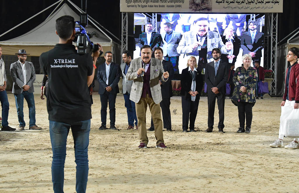 Lisa Abraham: The 2019 Egypt Specific Origin Arabian Horse Championship Photo Gallery
