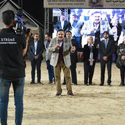 Lisa Abraham: The 2019 Egypt Specific Origin Arabian Horse Championship Photo Gallery