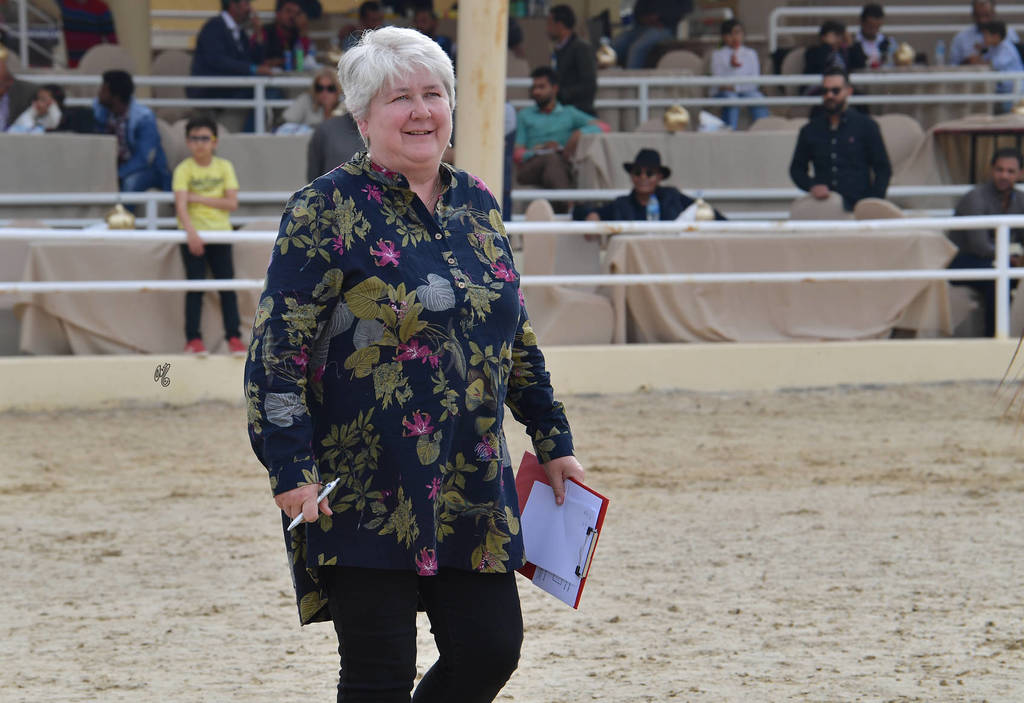 Lisa Abraham: The 2019 Egypt Specific Origin Arabian Horse Championship Photo Gallery