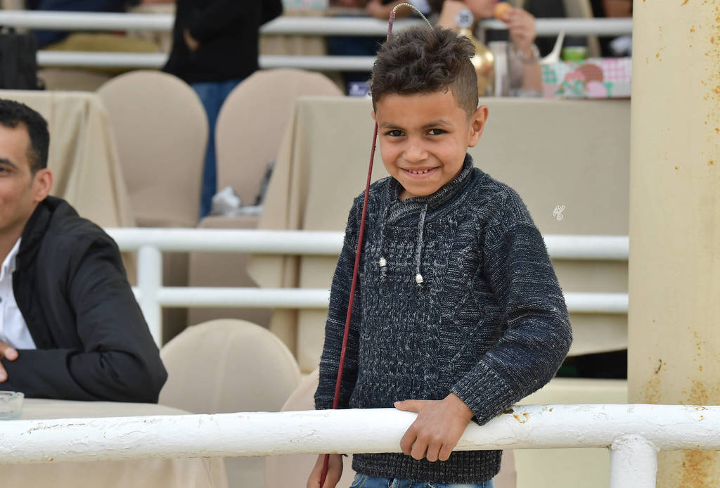 Lisa Abraham: The 2019 Egypt Specific Origin Arabian Horse Championship Photo Gallery