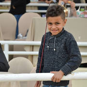 Lisa Abraham: The 2019 Egypt Specific Origin Arabian Horse Championship Photo Gallery