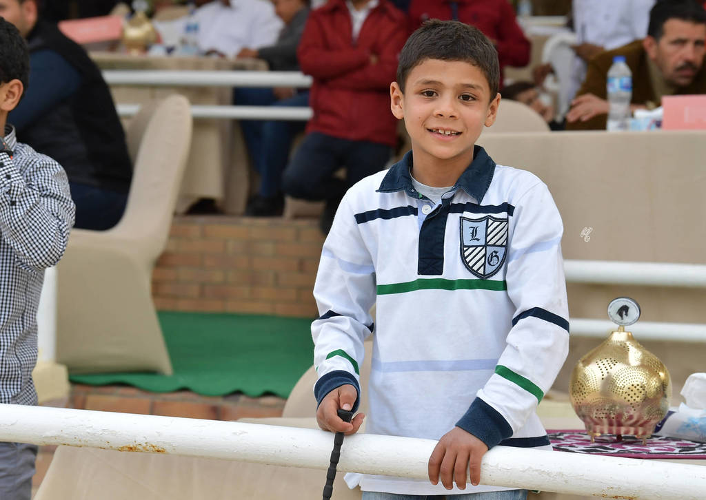 Lisa Abraham: The 2019 Egypt Specific Origin Arabian Horse Championship Photo Gallery