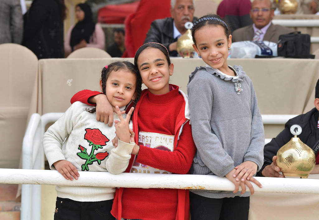 Lisa Abraham: The 2019 Egypt Specific Origin Arabian Horse Championship Photo Gallery