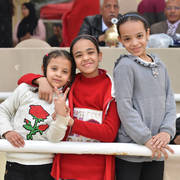 Lisa Abraham: The 2019 Egypt Specific Origin Arabian Horse Championship Photo Gallery