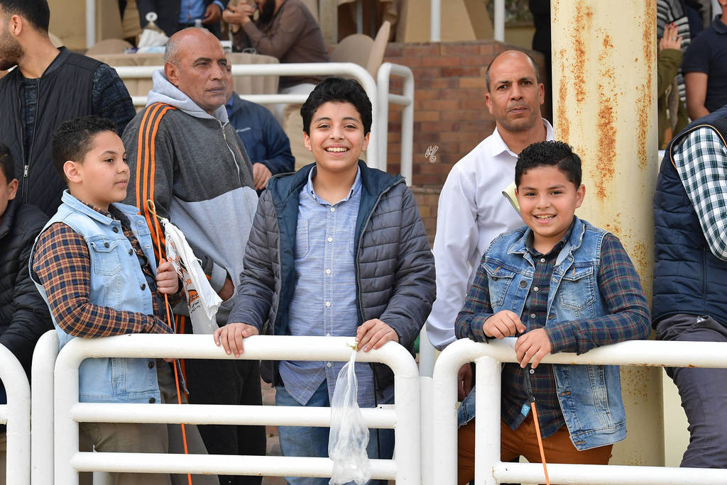 Lisa Abraham: The 2019 Egypt Specific Origin Arabian Horse Championship Photo Gallery