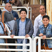 Lisa Abraham: The 2019 Egypt Specific Origin Arabian Horse Championship Photo Gallery