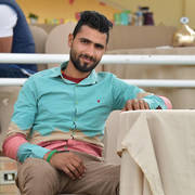 Lisa Abraham: The 2019 Egypt Specific Origin Arabian Horse Championship Photo Gallery