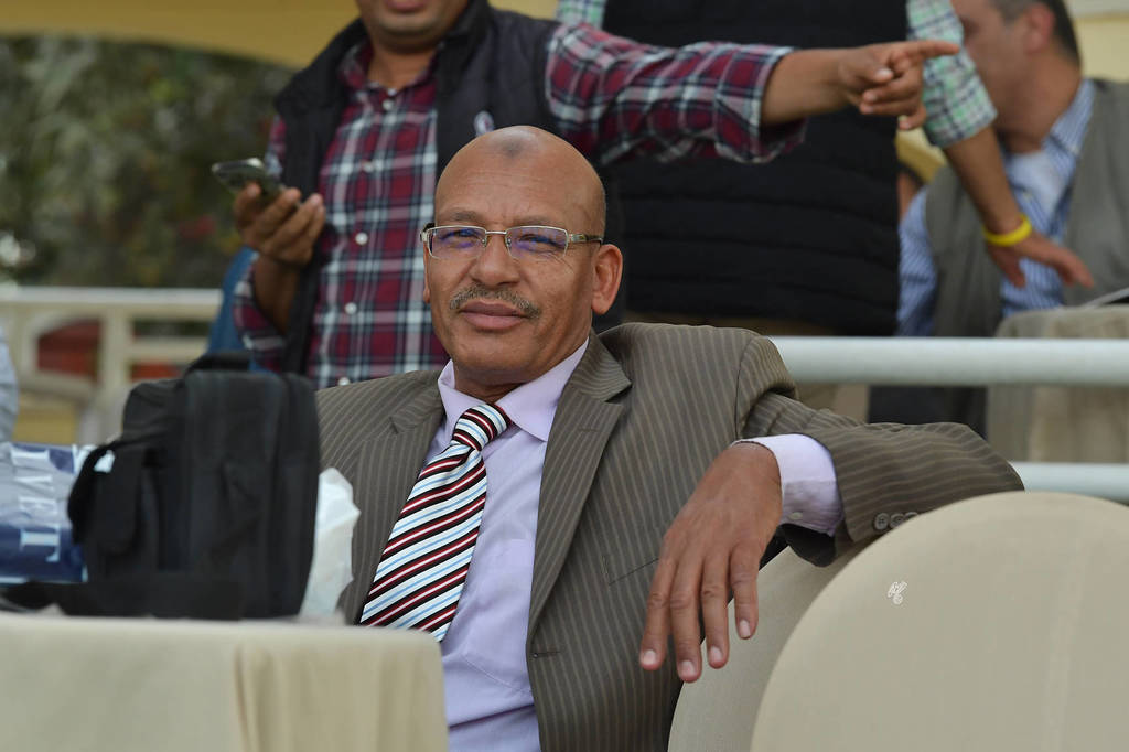 Lisa Abraham: The 2019 Egypt Specific Origin Arabian Horse Championship Photo Gallery