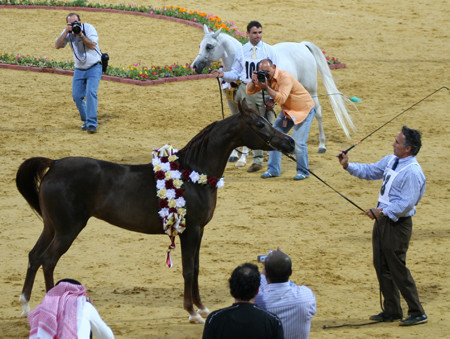 2007 Qatar, Doha