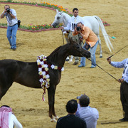 2007 Qatar, Doha