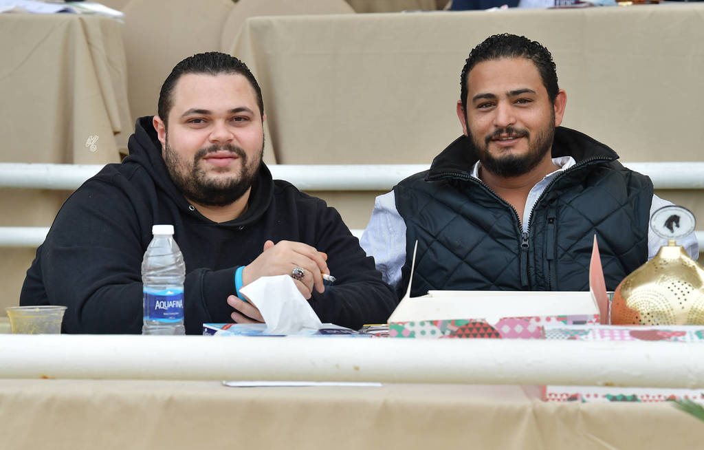 Lisa Abraham: The 2019 Egypt Specific Origin Arabian Horse Championship Photo Gallery