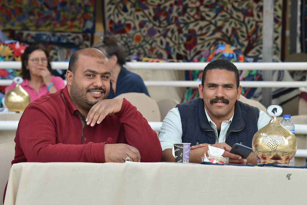 Lisa Abraham: The 2019 Egypt Specific Origin Arabian Horse Championship Photo Gallery