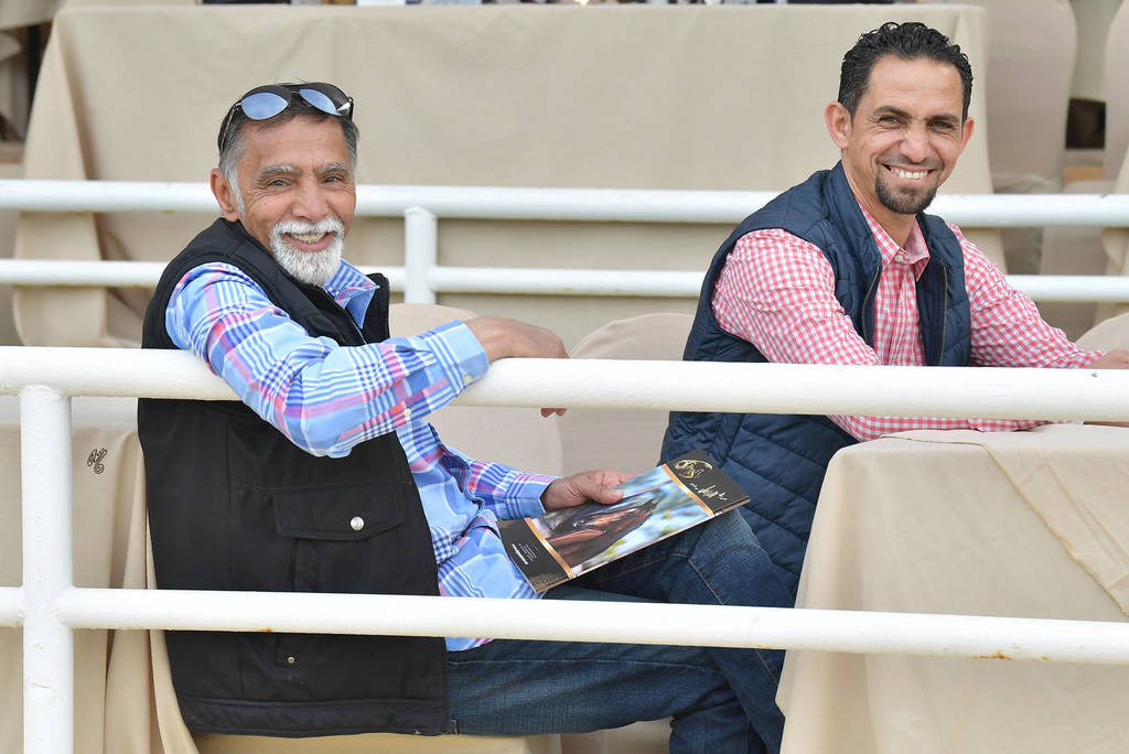 Lisa Abraham: The 2019 Egypt Specific Origin Arabian Horse Championship Photo Gallery