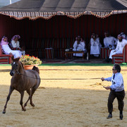 2007 Qatar, Doha