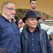 Lisa Abraham: The 2019 Egypt Specific Origin Arabian Horse Championship Photo Gallery