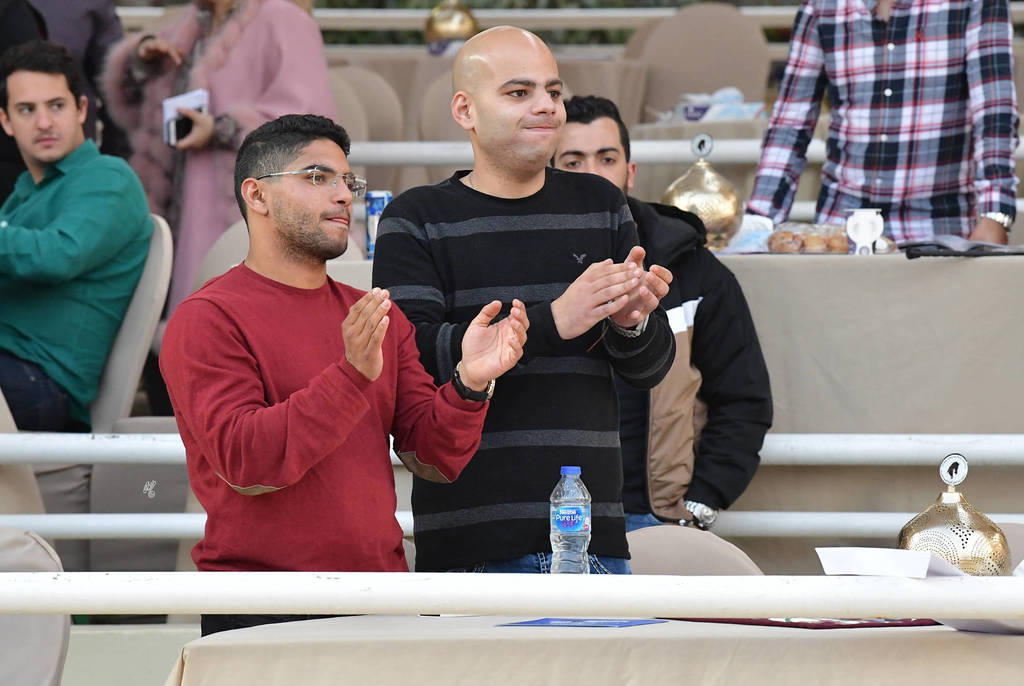 Lisa Abraham: The 2019 Egypt Specific Origin Arabian Horse Championship Photo Gallery