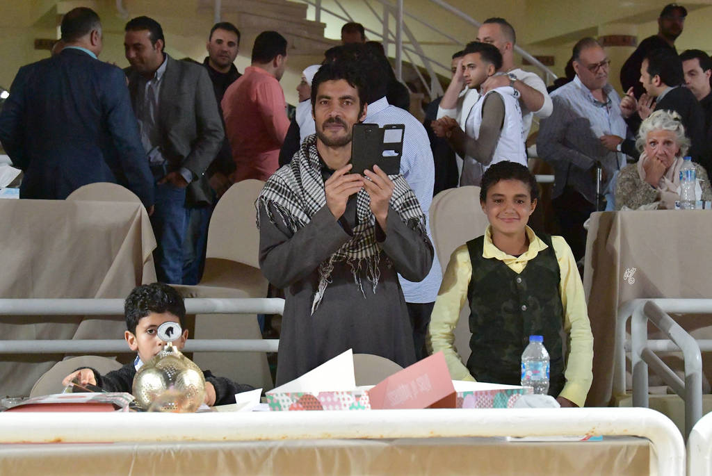 Lisa Abraham: The 2019 Egypt Specific Origin Arabian Horse Championship Photo Gallery