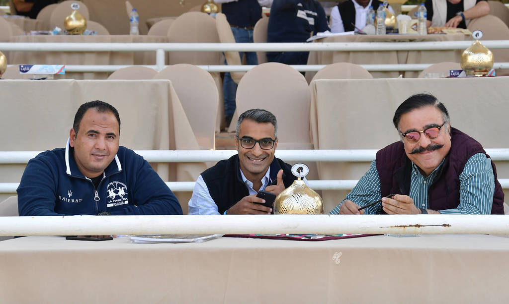 Lisa Abraham: The 2019 Egypt Specific Origin Arabian Horse Championship Photo Gallery