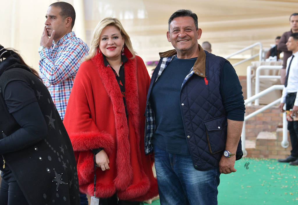 Lisa Abraham: The 2019 Egypt Specific Origin Arabian Horse Championship Photo Gallery