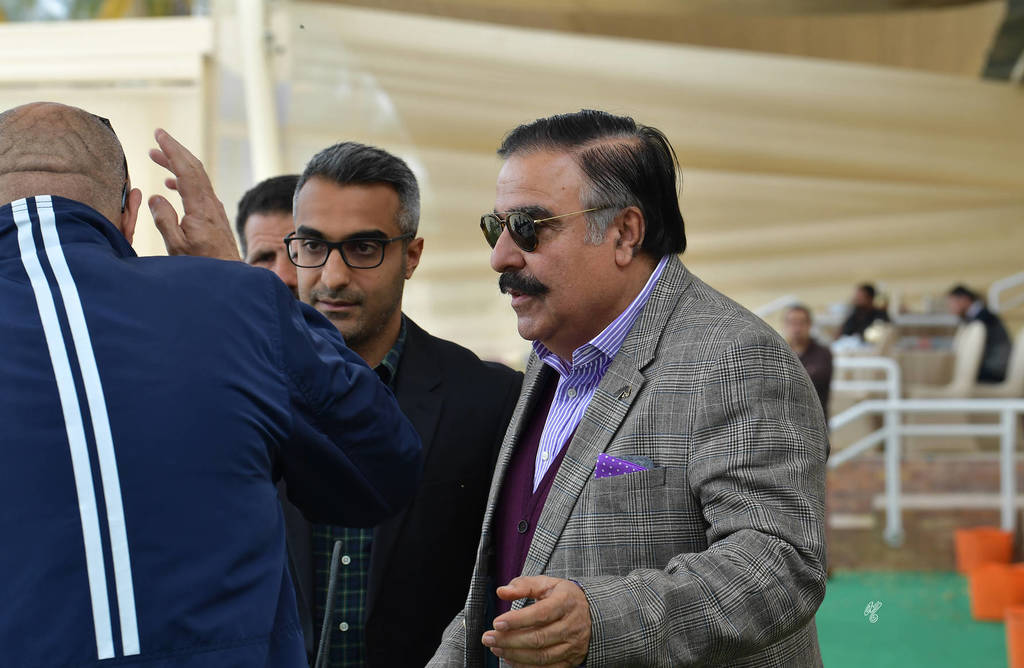 Lisa Abraham: The 2019 Egypt Specific Origin Arabian Horse Championship Photo Gallery