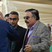 Lisa Abraham: The 2019 Egypt Specific Origin Arabian Horse Championship Photo Gallery