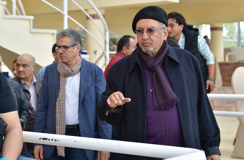 Lisa Abraham: The 2019 Egypt Specific Origin Arabian Horse Championship Photo Gallery