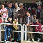 Lisa Abraham: The 2019 Egypt Specific Origin Arabian Horse Championship Photo Gallery