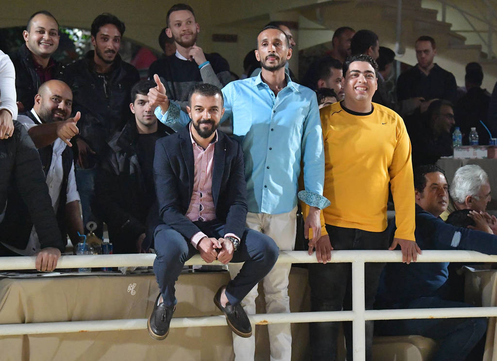 Lisa Abraham: The 2019 Egypt Specific Origin Arabian Horse Championship Photo Gallery