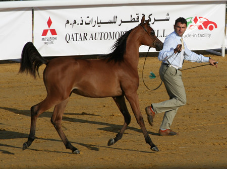 2007 Qatar, Doha