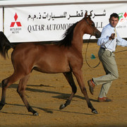 2007 Qatar, Doha