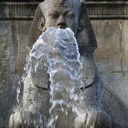 2006 Paris, France Salon Du Cheval Show
