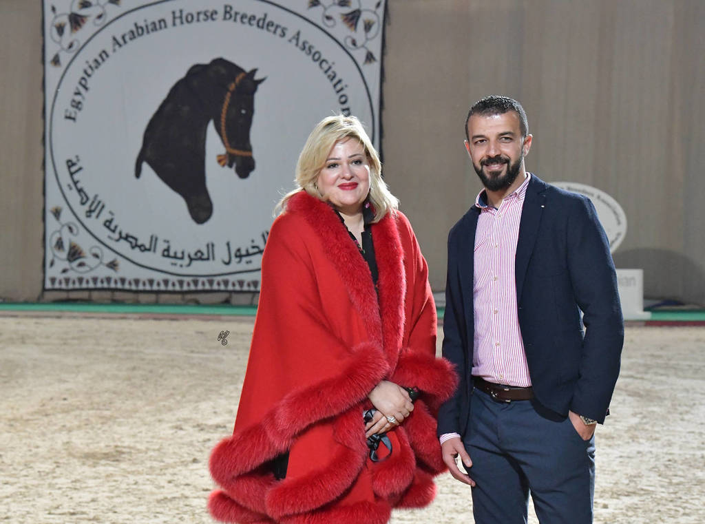 Lisa Abraham: The 2019 Egypt Specific Origin Arabian Horse Championship Photo Gallery