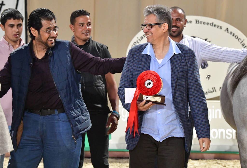 Lisa Abraham: The 2019 Egypt Specific Origin Arabian Horse Championship Photo Gallery