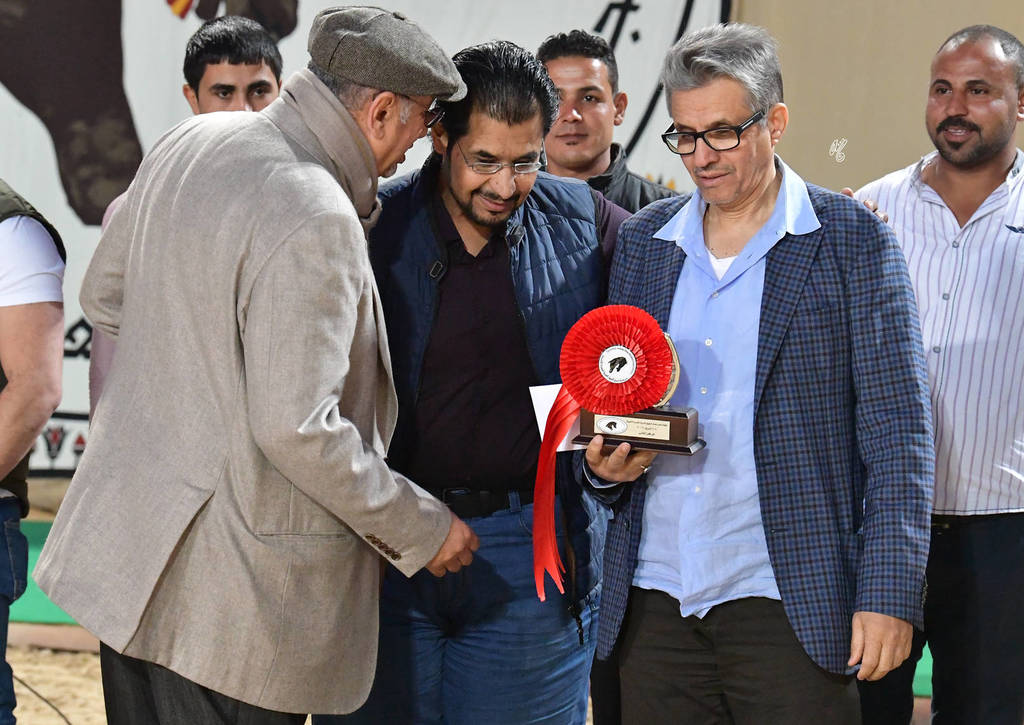 Lisa Abraham: The 2019 Egypt Specific Origin Arabian Horse Championship Photo Gallery